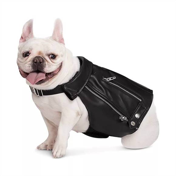 NEW BLANKNYC dog moto jacket in fcy - Picture 1 of 2